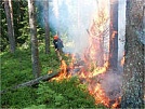 В Туве действует 9 лесных пожаров на общей площади 518 га